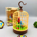 Battery Operated Pretty Bird Cage Toy with Light & Music for Kids (Ages 3+)